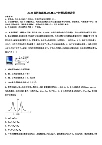 2026届河南省周口市高三冲刺模拟物理试卷含解析