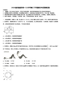 2026届河南省郑州一〇六中学高三下学期联合考试物理试题含解析