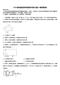 2026届河南省郑州外国语学校高三最后一模物理试题含解析