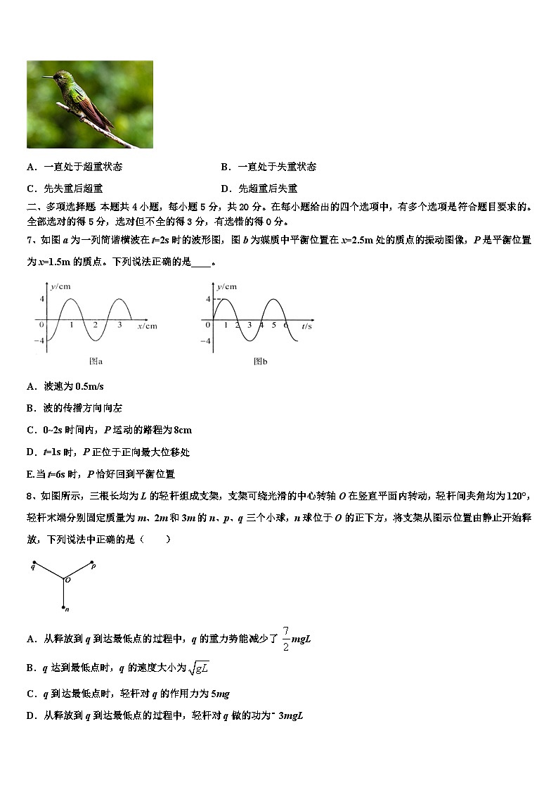 2026届河南省郑州市重点名校高三下学期第六次检测物理试卷含解析第3页