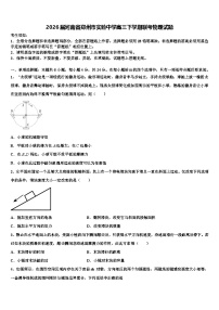 2026届河南省郑州市实验中学高三下学期联考物理试题含解析