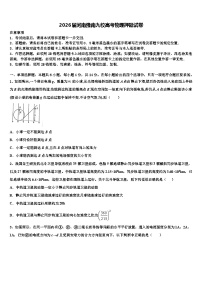 2026届河南豫南九校高考物理押题试卷含解析