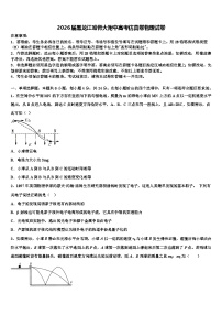 2026届黑龙江哈师大附中高考仿真卷物理试卷含解析