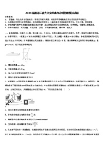 2026届黑龙江省大兴安岭高考冲刺物理模拟试题含解析