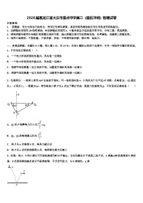 2026届黑龙江省大庆市重点中学高三(最后冲刺)物理试卷含解析