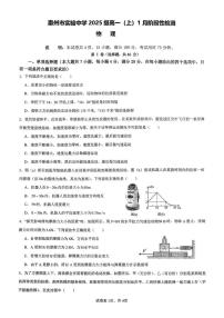 广东省惠州市实验中学2025-2026学年高一上学期1月月考物理试题（月考）
