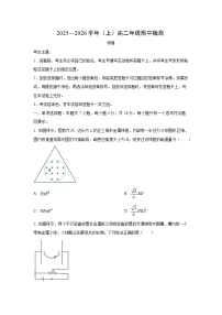 2025-2026学年河南省平顶山市青桐鸣联考高二上学期11月期中物理试卷（学生版）