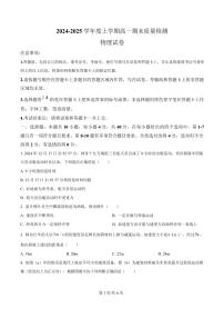 湖北省武汉市2024-2025学年高一上学期1月期末物理试题（原卷版）