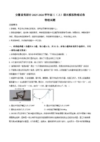 安徽省芜湖市2025-2026学年高三（上）期末模拟物理试卷物理试题