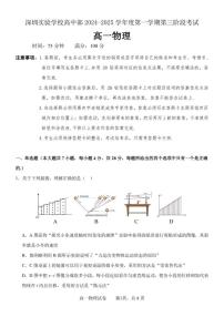 2024-2025学年广东省深圳市高一(上)期末物理试卷（含答案）