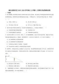 湖北省黄冈市2026届高三上学期1月期末考试物理试卷(含答案)