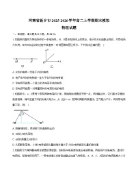 河南省新乡市2025-2026学年高二上学期期末模拟物理试题