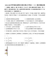 精品解析：湖北省武汉市部分重点中学2024-2025学年高一上学期1月期末物理试题（原卷版+解析版）
