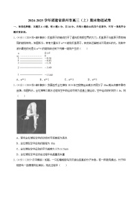 2024-2025学年福建省漳州市高三（上）期末物理试卷(含详细答案解析)