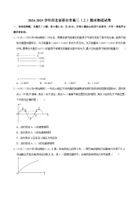 2024-2025学年河北省邢台市高三（上）期末物理试卷(含详细答案解析)