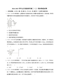 2024-2025学年山东省泰安市高三（上）期末物理试卷(含详细答案解析)