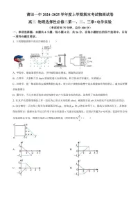 2024-2025学年福建省莆田第一中学高二上学期1月期末考试物理试题（有答案）