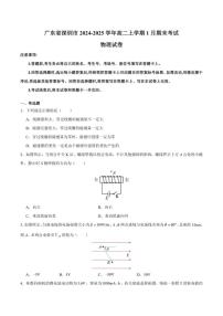 2024-2025学年广东省深圳市高二上学期期末物理试卷（有解析）