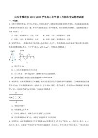 2024-2025学年山东省潍坊市高二上学期期末考试物理试卷(有解析)