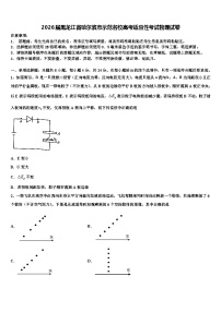 2026届黑龙江省哈尔滨市示范名校高考适应性考试物理试卷含解析