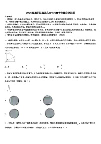 2026届黑龙江省龙东南七校高考物理必刷试卷含解析