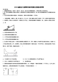 2026届黑龙江省穆棱市高考物理全真模拟密押卷含解析