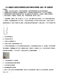 2026届黑龙江省绥化市绥棱县林业局中学高考冲刺押题（最后一卷）物理试卷含解析