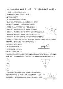 2025-2026学年山东省青岛二中高一（上）月考物理试卷（1月份）（含答案）