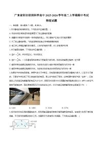 广东省圳市深圳科学高中2025-2026学年高二上学期期中考试物理试卷（含答案）