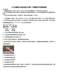 2026届黑龙江省龙东南七校高三下学期联合考试物理试题含解析