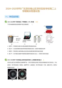 2024-2025学年深圳实验学校高二(上)期末物理试卷含答案