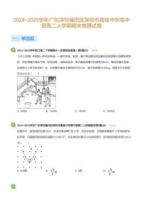 2024-2025学年深圳市高级中学高二(上)期末物理试卷含答案