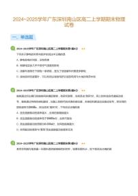 2024-2025学年深圳市南山区高二(上)期末物理试卷含答案
