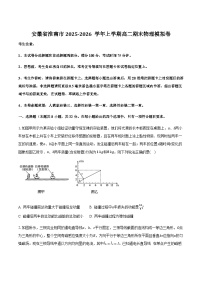 安徽省淮南市2025-2026学年高二上学期期末模拟物理试卷（含解析）
