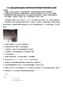 2026届湖北省鄂东南省级示范高中教育教学改革联盟学校高考物理三模试卷含解析