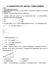 2026届湖北省华中师范大学第一附属中学高三下学期联合考试物理试题含解析