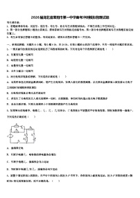 2026届湖北省襄阳市第一中学高考冲刺模拟物理试题含解析