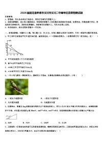 2026届湖北省孝感市汉川市汉川二中高考仿真卷物理试题含解析