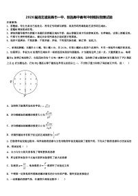 2026届湖北省宜昌市一中、恩施高中高考冲刺模拟物理试题含解析
