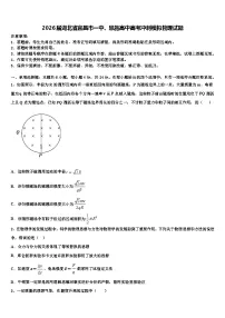 2026届湖北省宜昌市一中、恩施高中高考冲刺模拟物理试题含解析