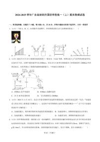 2024-2025学年深圳外国语学校高一(上)期末物理试卷及答案
