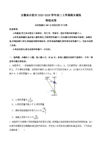 安徽省合肥市2026届高三上学期期末模拟 物理试卷