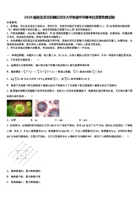 2026届湖北武汉武昌区武汉大学附属中学高考仿真卷物理试题含解析