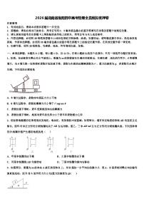 2026届湖南省衡阳四中高考物理全真模拟密押卷含解析