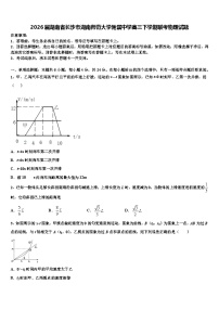 2026届湖南省长沙市湖南师范大学附属中学高三下学期联考物理试题含解析