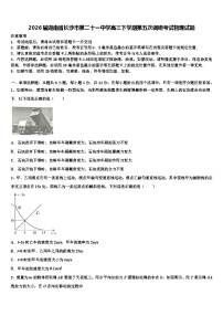 2026届湖南省长沙市第二十一中学高三下学期第五次调研考试物理试题含解析