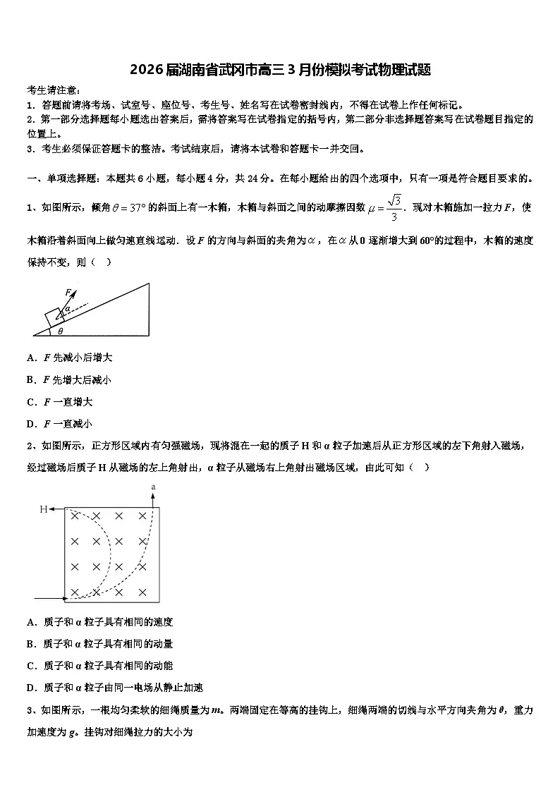 2026届湖南省武冈市高三3月份模拟考试物理试题含解析第1页