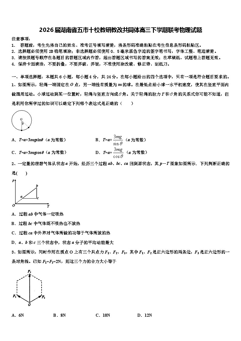 2026届湖南省五市十校教研教改共同体高三下学期联考物理试题含解析第1页