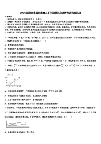 2026届湖南省益阳市高三下学期第五次调研考试物理试题含解析