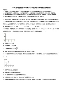 2026届湖南省雅礼中学高三下学期第五次调研考试物理试题含解析